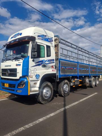 5 chân 2015 xe rin lốp đẹp xe xem phú yên