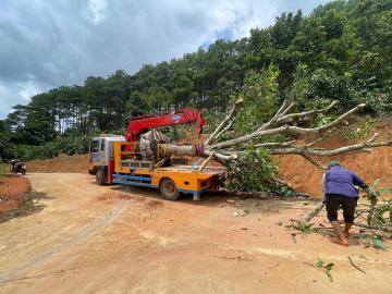 Bán xe tải cẩu Huyndai 5TON sx205