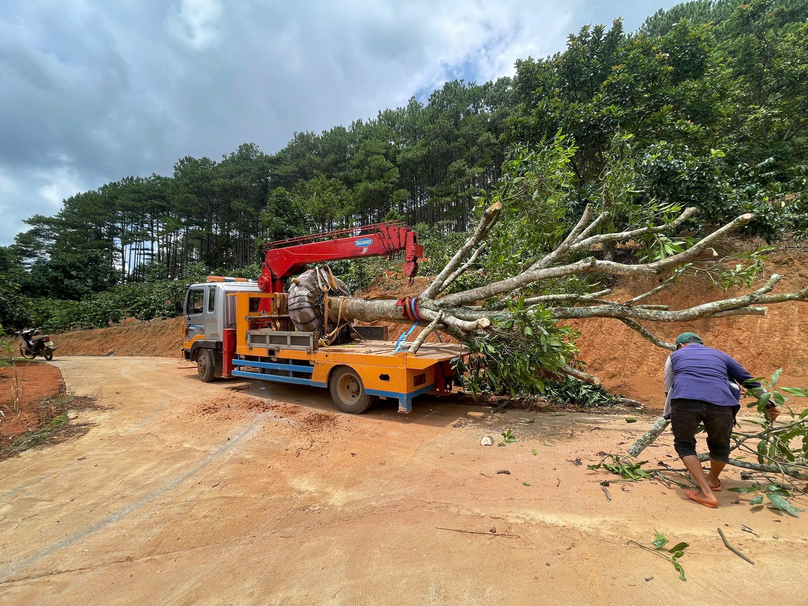 ban xe tai cau huyndai 5ton sx205