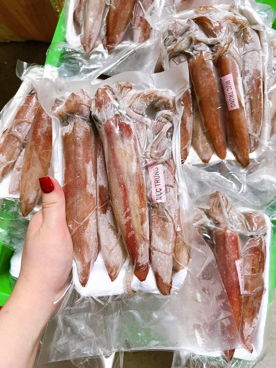 ben minh chuyen cung cap cac loai hai san kho, 1 nang cao cap tai van don, quang ninh
