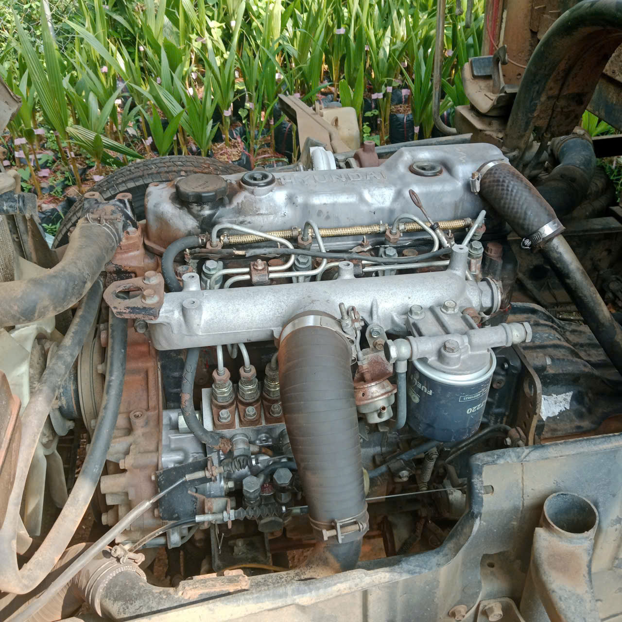 can ban hd65 doi 202 xe dep may lon d4da