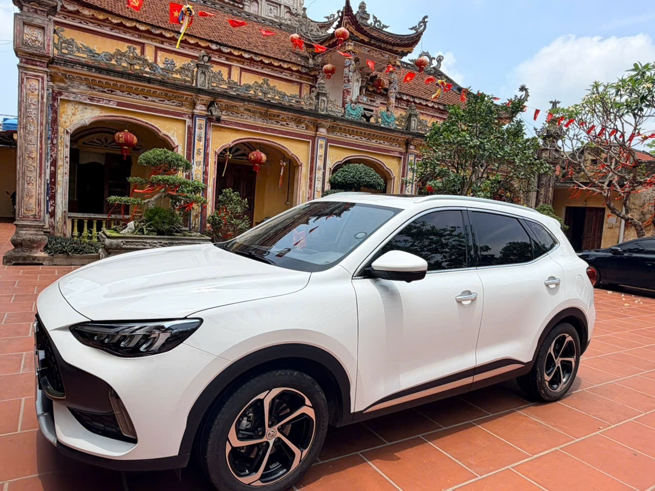 mg hs 2024 trang- 540 trieu