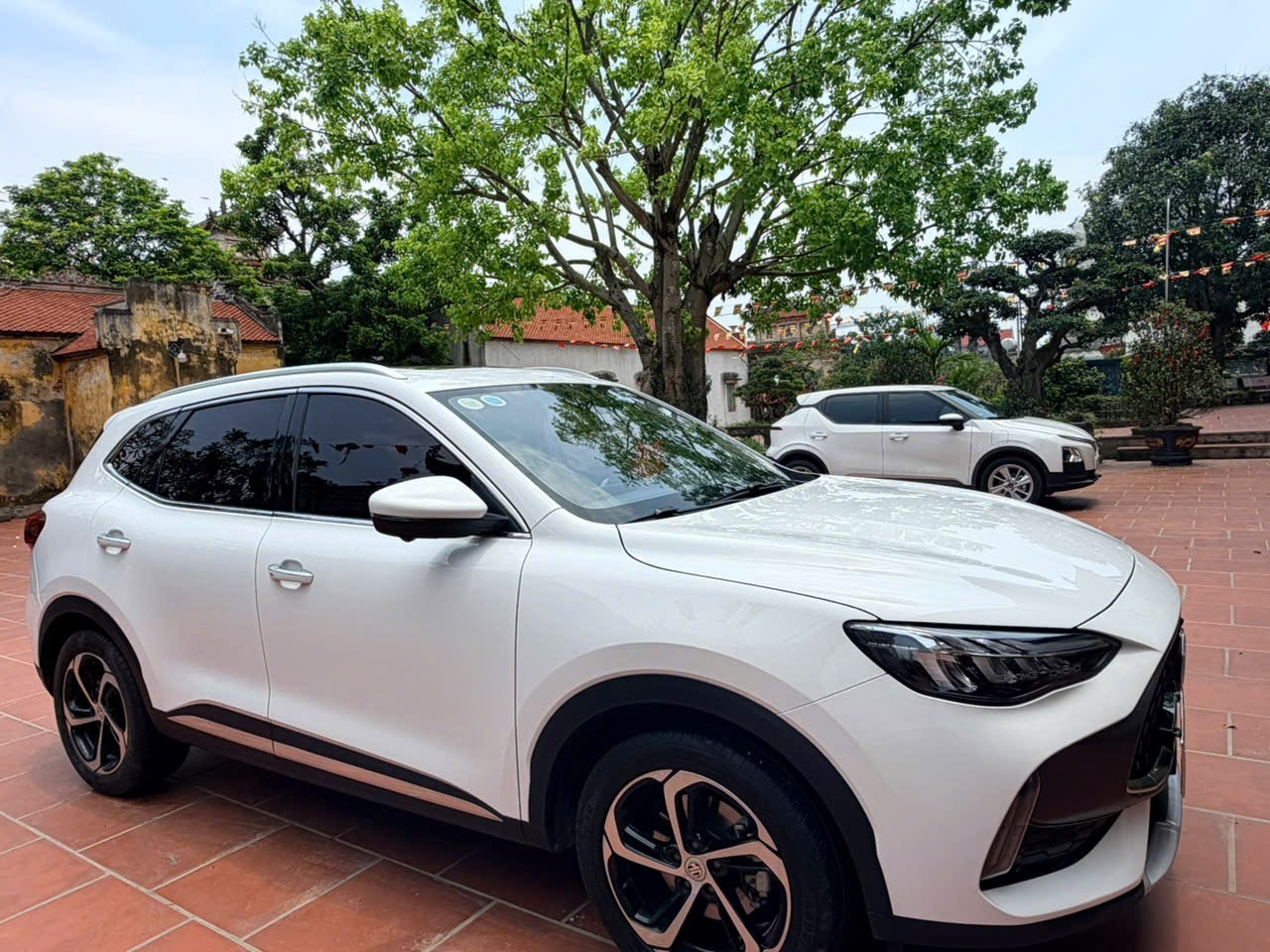 mg hs 2024 trang- 540 trieu