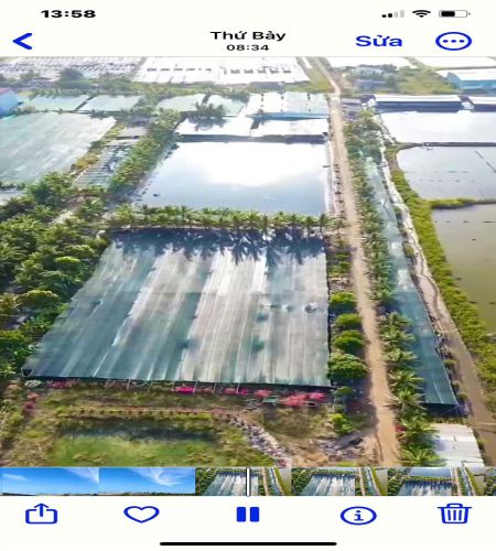 oc huong hai nguyen - bac lieu